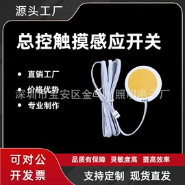 感应开关;LED灯带;灯控制器