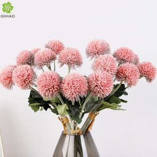 ���Ϸ���6֧���[�� ëë���Ҿ��b�ֲë�ѹ�Ӣ ��Yƹ�Ҿշ��滨