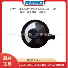 美国REGO燃气减压阀LV5503B6 B8液化气调压器LV5503H820