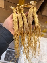 �SƤ�� �t����֧���b�eֱ��250g ����߅�l ����ջ��y