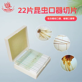 教学演示用品;生物教学器材;医药教学器材