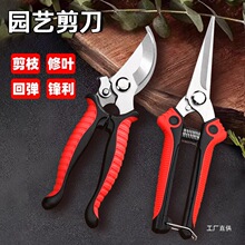 园艺剪刀粗枝剪园林修枝剪不锈钢花剪家用剪树枝葡萄摘果专用军霞