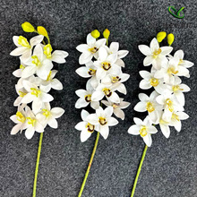 ���l��֧�ָоƵ�Y���bٻ��S�ҷ��滨3D��ӡ�����m10�^ޥ�m