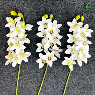 ���l��֧�ָоƵ�Y���bٻ��S�ҷ��滨3D��ӡ�����m10�^ޥ�m
