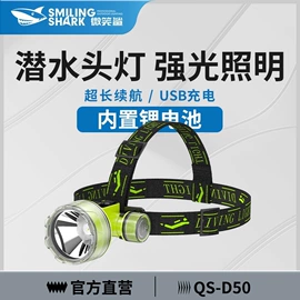 手电筒;头灯头戴电筒;野营/露营灯