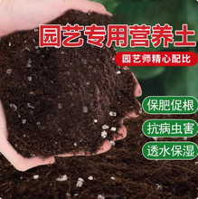 家用营养土养花种菜专用土多肉盆栽通用型透气花土壤种植有机泥土
