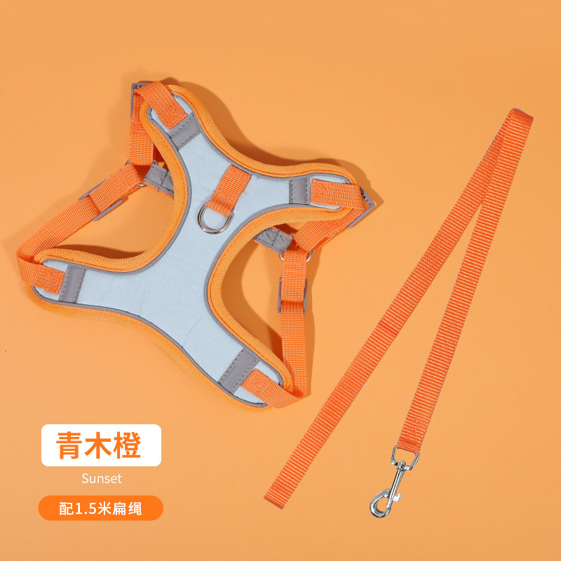 Nuevo chaleco transfronterizo correa de perro gato perro pequeño Teddy correa de pecho cachorro correa de perro Cadena de perro