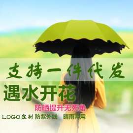 雨伞创意黑胶遇水开花晴雨伞遮阳太阳伞防紫外线广告伞厂家现货