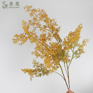 �����bGֲ�[���Ҿ��쾰����ʽ�廨��ֲ֦ë���F��β�݈�������