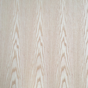 �t����ľƤ�N������ľ���ľ�y����5mm���y�N���z�ϰ��o����