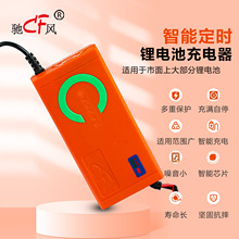 锂电智能充电器充电器6A8A10A短路反接过流过载保护充电器