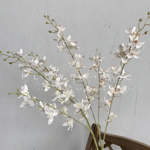 �nʽ��Y���滨С�m�����sС�����m������С�����m����ɫС���m