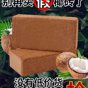 Ҭ�u�I�B��Ҭ���N���B��ͨ���ͷ���ֲ��Nֲ������@ˇҬ���N����