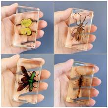 �����x�˱���֬�������˱��[��ˮ�����z�ֹ���ˇƷϐ��֩�����l