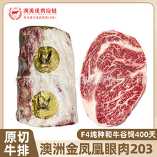 ���޽��P�˺�ţ����ԭ��ţ�Ź��203�Sѩ��ţ���������������