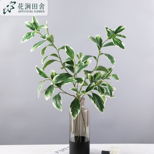 ����Gֲ â���~ �Ƶ��c������~�zӰ���߱��W�Ҿ�ܛ�b���̼٘�