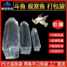 �S�ҹ����~����w�\ݔ���b���Ӻ�Һ�w���B���״� �����z��