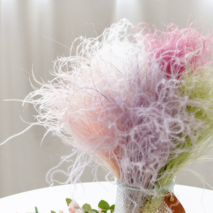 A�����ò����B���������ɚ���ë�ݱ��r���ɻ��ɲ�diy�b廨