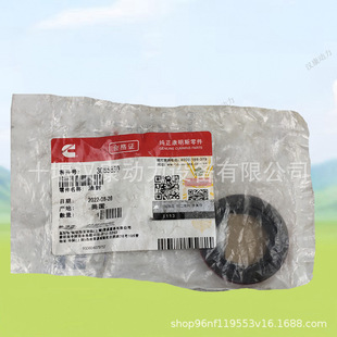 ����˹QSK19�l�әC�o�����b���ͷ�3065830ꄽ��CеCM2000��ٙC