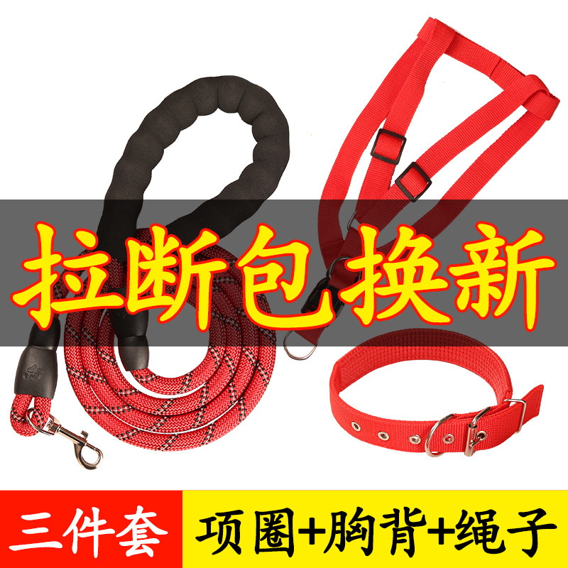 宠物牵引绳反光丝加长狗链子狗项圈遛狗绳不勒手带泡棉成套牵引绳