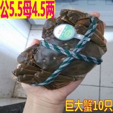 ��ˮ�t����lз��4.2ĸ3.2�r��F؛�з�ش�ȫĸз�ɺ�з��ȫ��