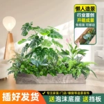 仿真绿植假植物室内大型装饰盆栽阳台花槽造景户外花箱仿真花摆设