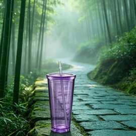 自制气泡水双层塑料吸管水杯 650ml 宽口易加冰块便携随身容器
