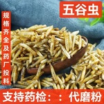 五谷虫 大货批发 五谷虫 五谷虫蝇蛆 干罗仙子 支持药检 代磨粉