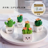 Brand realistic small resin, decorations, jewelry for office, table laptop, cactus