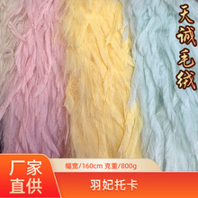 �F؛��ë��ë�q������ë�п���ë�A�y�z���bЬ���������ë�q����