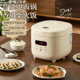 家用电饭煲微压精煮饭锅达智能预约容量多功能保温家用大学电饭有