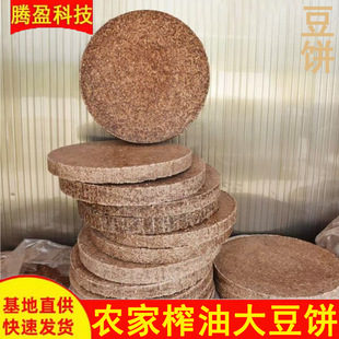 �r��ե�Ͷ����춄����Bֳ��ϷNֲ�ЙC�������Ӵֵ��״��