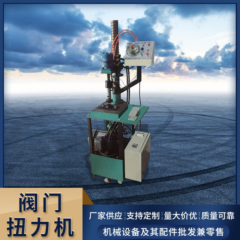 厂家供应森荣京鑫全自动型扭力机设备  阀门扭力机