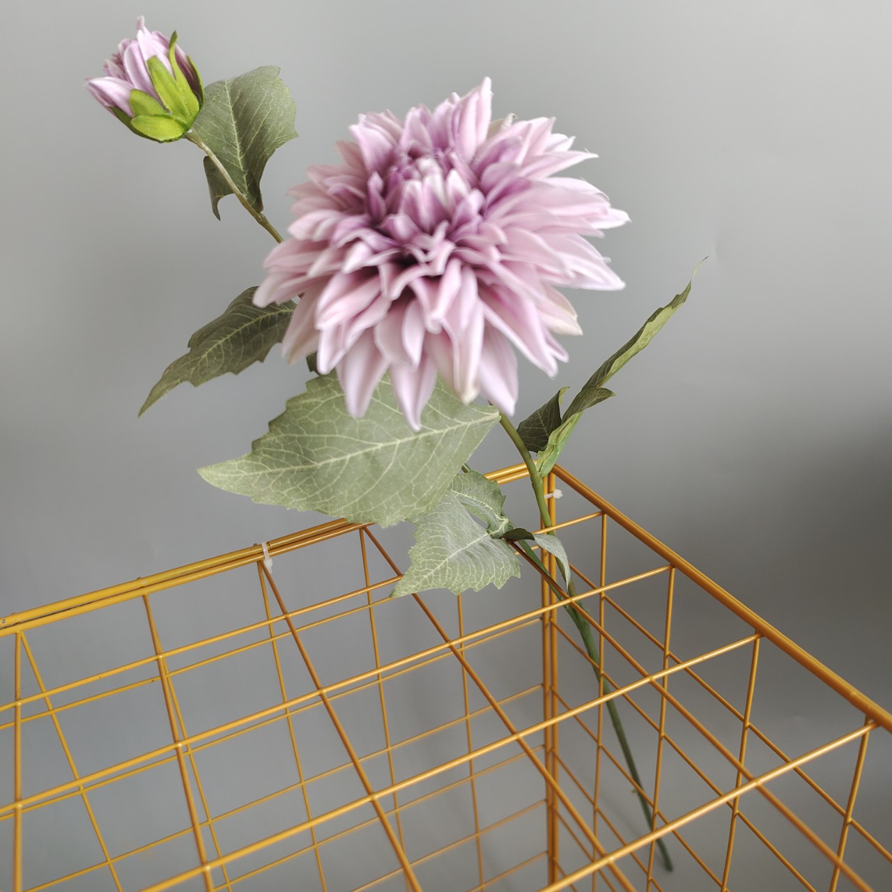 1 # 연꽃 색상