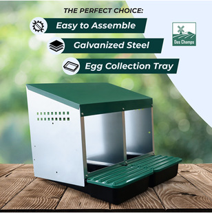 �羳�������îa������N���ٮa����S��ֱ�N�F؛�����NҎ���u