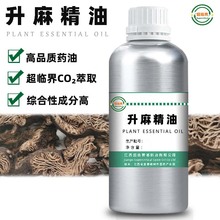 升麻精油 源头工厂超临界萃取原料 单方脂溶 50ml 外用按摩