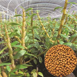 生物肥料;有机肥;复合肥