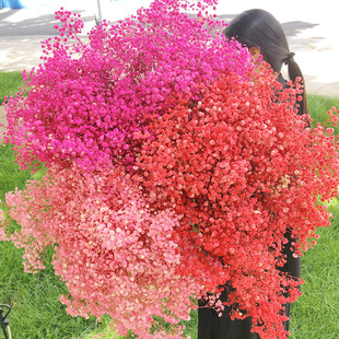 �����M�����滨��������������؝M��������������[��؛Դ���l