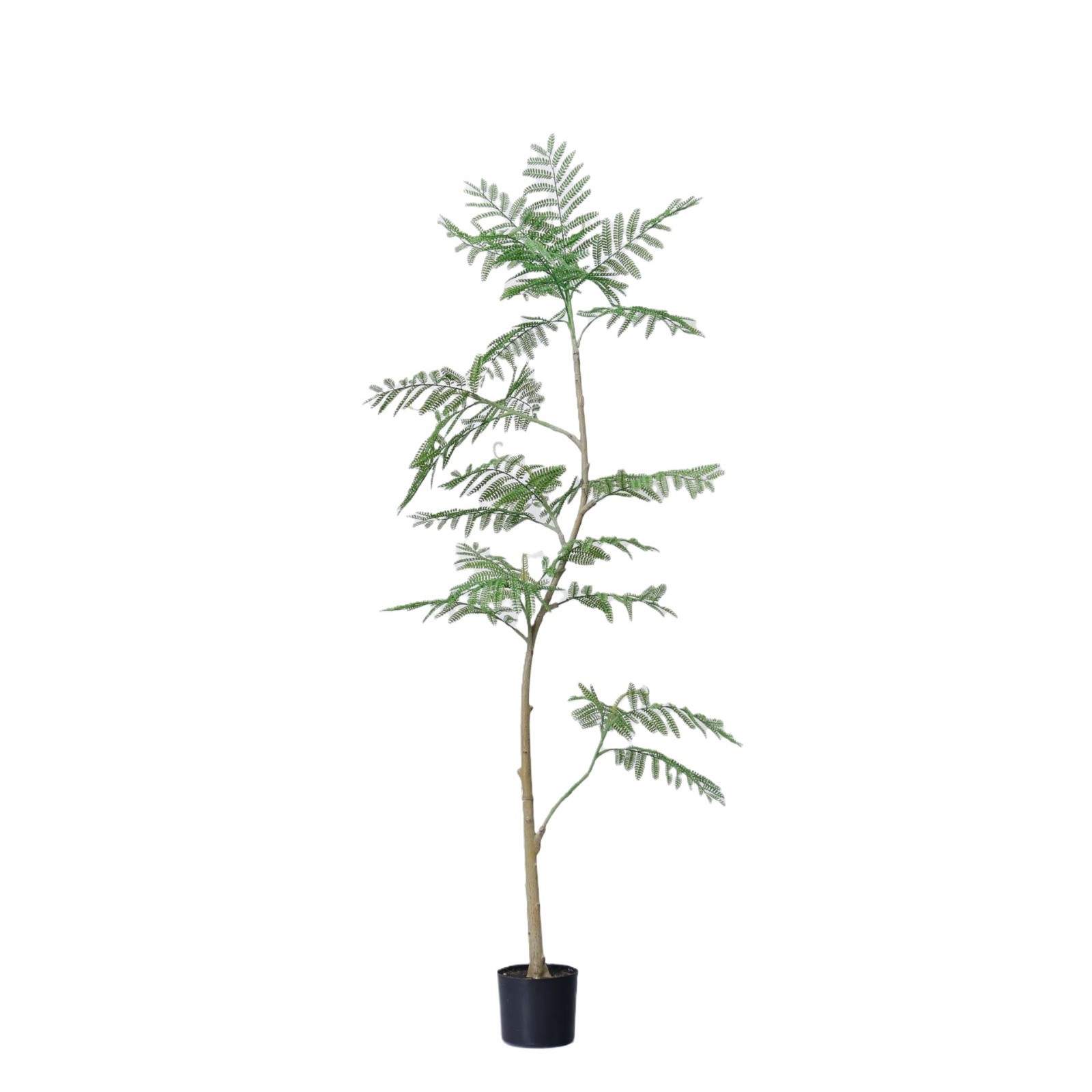 Jacarandá de simulación de alta gama, plantas verdes falsas, plantas en macetas, grandes interiores, salas de estar, decoraciones de decoración de piso, paisajismo de plantas biónicas