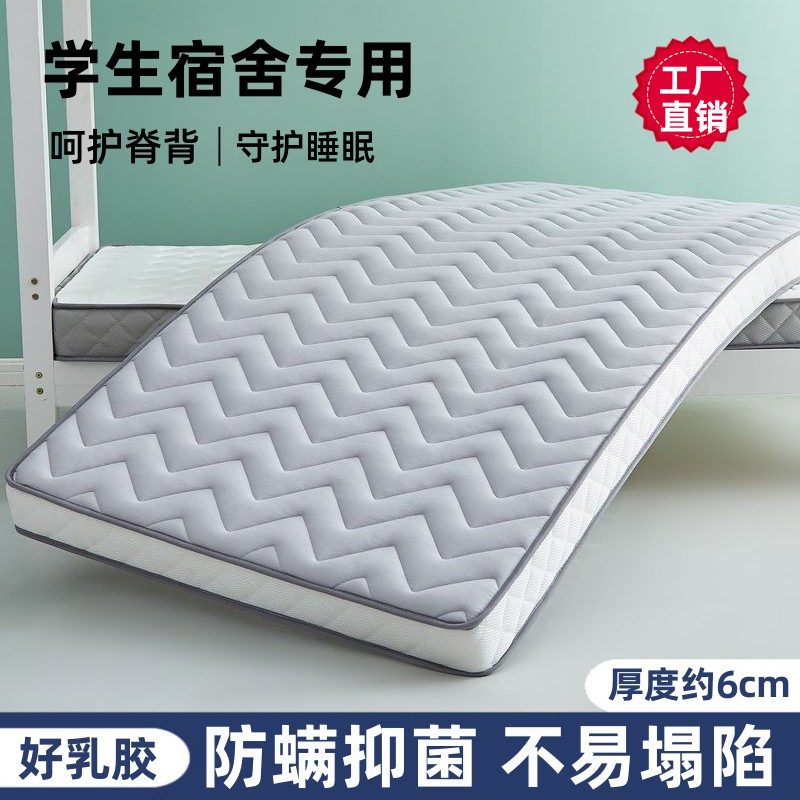 슬래시 그레이 S-6cm는 학생들을 위해 특별히 디자인되었습니다.