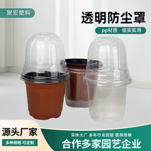 �Ӻ�͸�����ϻ��莧���m�֎��w�pɫ�m��������¼������m�I�B��