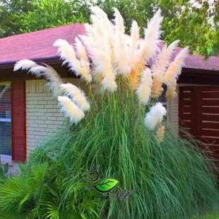 ��Ȕ���Ѷ������޸��ͺ����a���y�J�N�ӻ��@�^�p�ͺ��ݷN���＾��