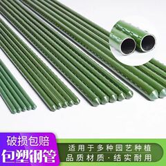 廠家直銷爬藤架加厚鋼管植物支撐杆葡萄百香果黃瓜豆角番茄攀爬架