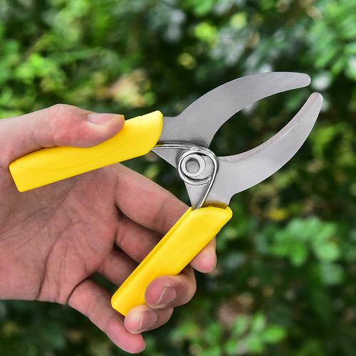 Manufacturer of fruit tree girdling scissors, stainless steel gardening shears, pruning shears, fruit branch shears, bark girdling scissors, garden tools