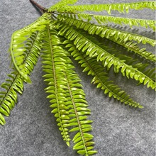 ��˹�~���滨�Gֲ��˹�ݒ�ڻ�c��ˇ�������廨�b��~�������Ų�