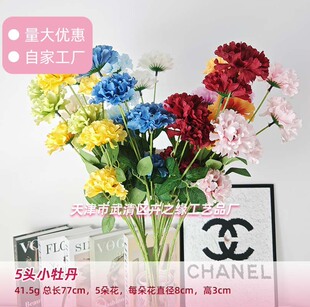 5�^Сĵ�����滨�廨��ˇ�b�c�����L���ӼҾӔ[���羳���l