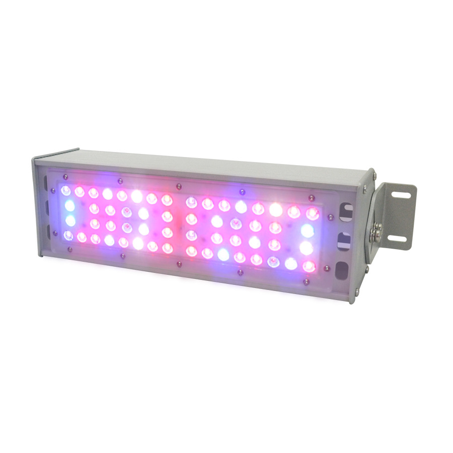 ֱLED50W 100WֲҴֶ֧ƹ