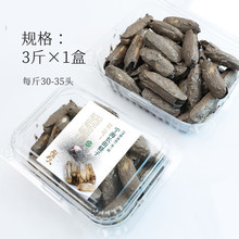 ʮ��𒌎���L���|���r��಻��ˮ�д���p�^���r�}���خa3��5��