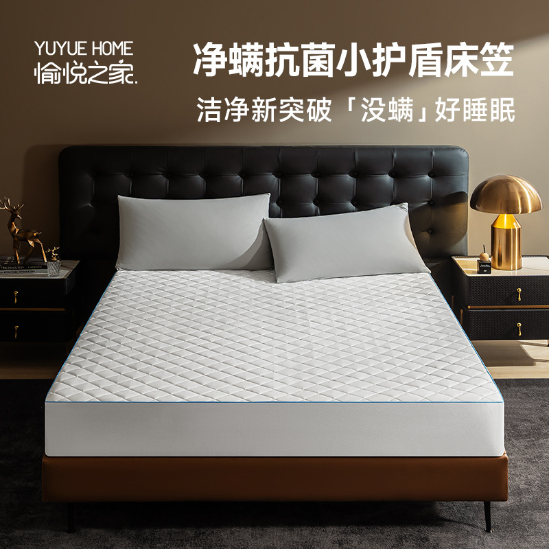 Letsleep/Painted Sleeping Net Mite Small Shield Bed Sheet Type a Antibacterial Anti-Mite Mattress Protector Water-Repellent Bed Cover