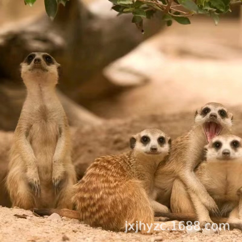 微信圖片_20230329111041